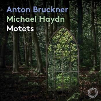 Cover Anton Bruckner & Michael Haydn: Motets