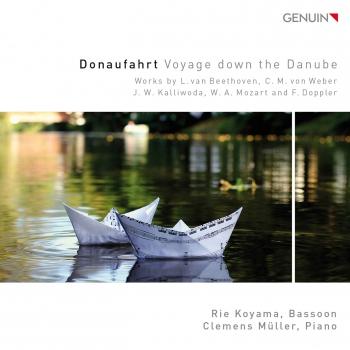 Cover Donaufahrt (Voyage down the Danube)