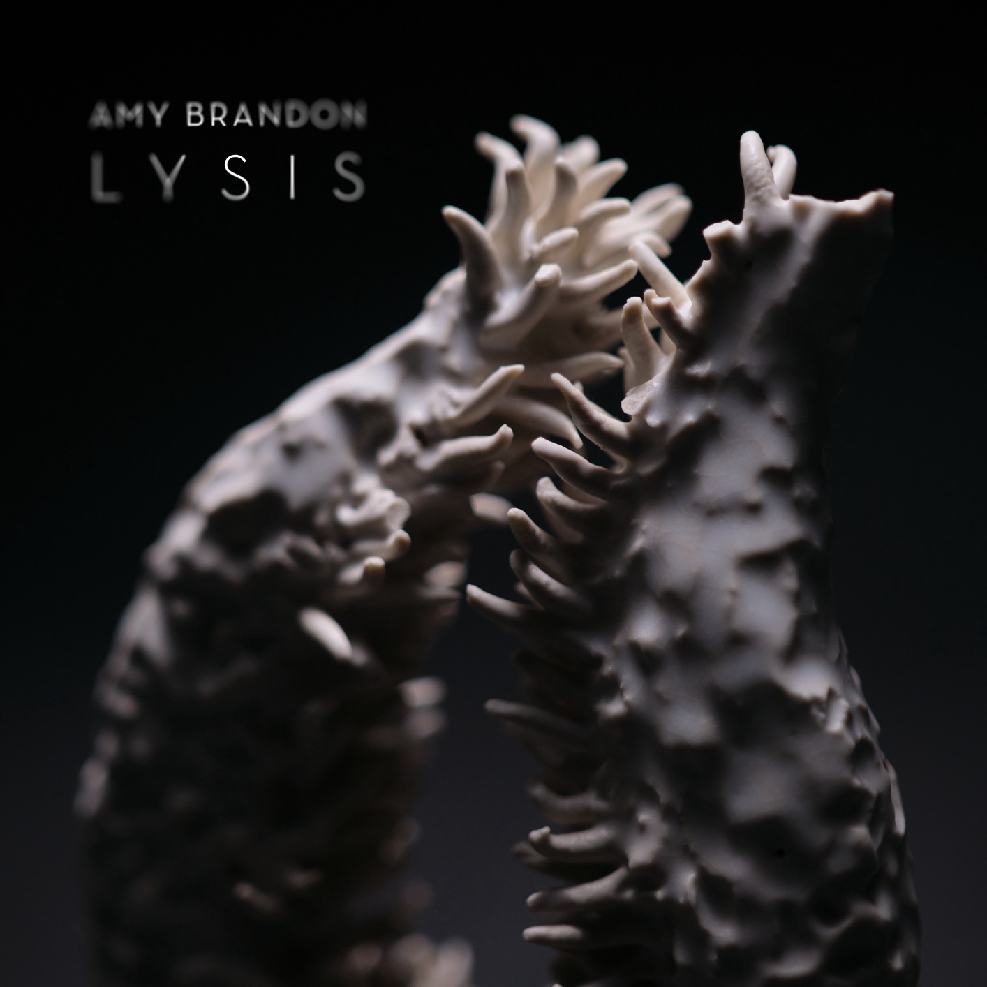 Cover Amy Brandon: Lysis