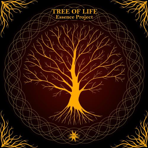 Cover Tree of Life