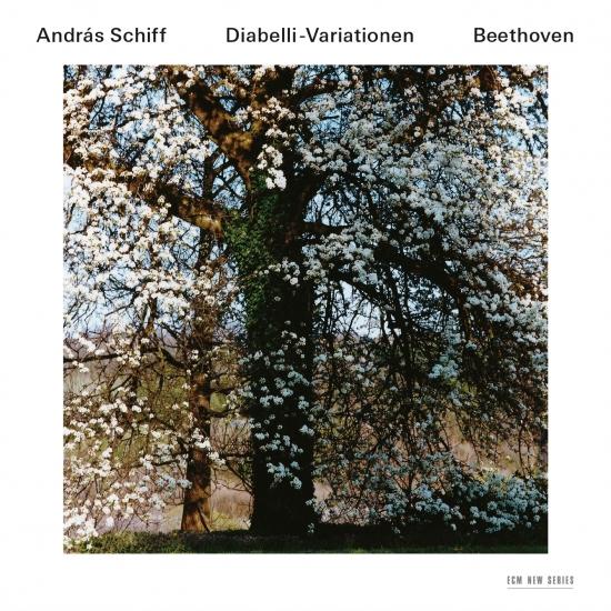 Cover Ludwig van Beethoven: Diabelli-Variationen