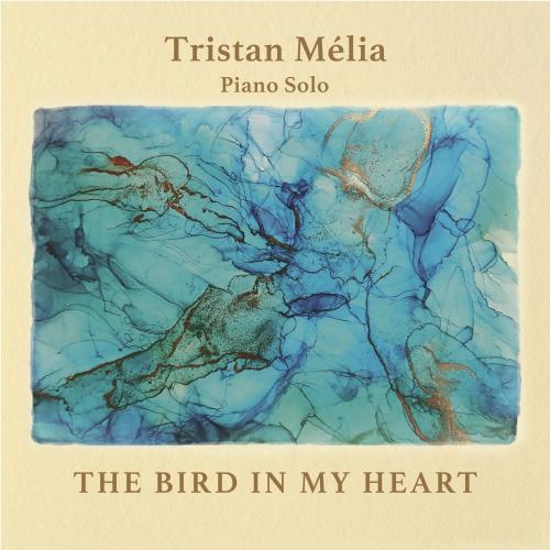 Cover The Bird in My Heart