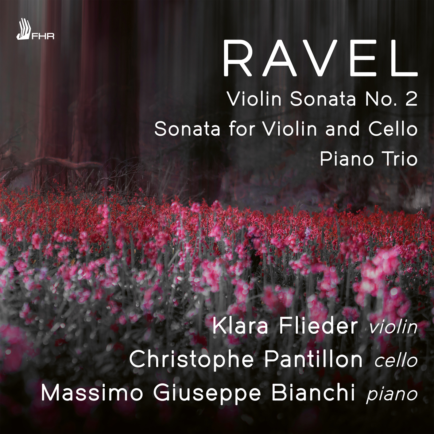 Cover RAVEL: Violin Sonata No. 2 in G major, Sonata for Violin and Cello in A minor, Piano Trio