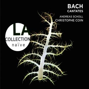 Cover Bach: Cantatas BWV49, 115, 180