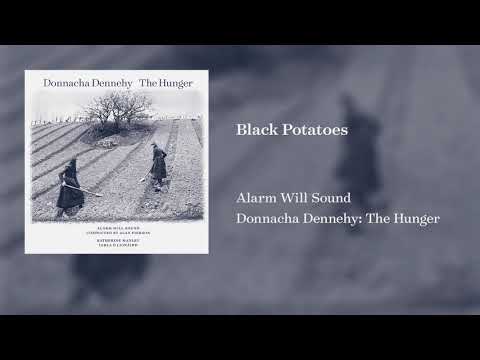 Video Alarm Will Sound - Donnacha Dennehy: The Hunger