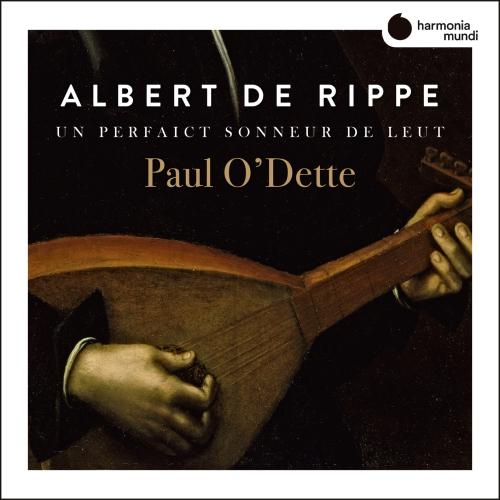 Cover Rippe: Works for lute 'Un perfaict sonneur de Leut'