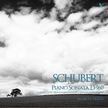 Cover Schubert: Piano Sonata No. 21 in B-Flat Major, Allegretto in C Minor & 6 Moments musicaux