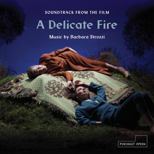 Cover A Delicate Fire (Soundtrack from the Film)