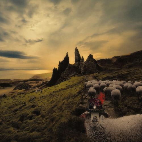 Cover Sheeple