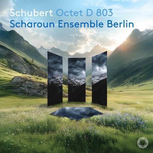 Cover Schubert: Octet D 803