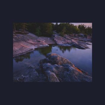 Cover Momentary Movements Of Landscapes
