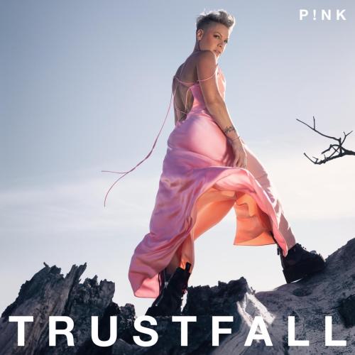 Cover TRUSTFALL