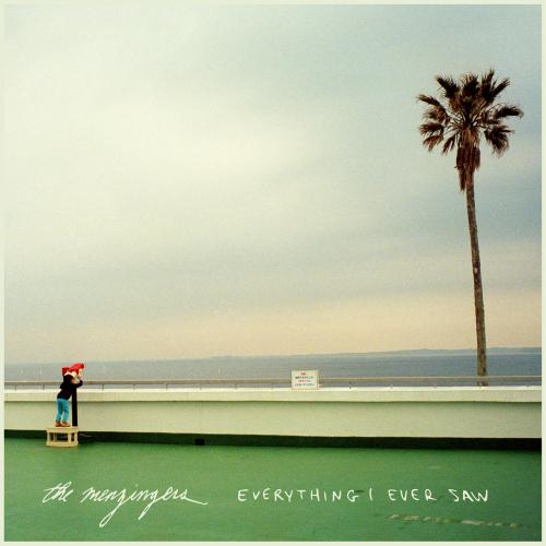 Cover Everything I Ever Saw
