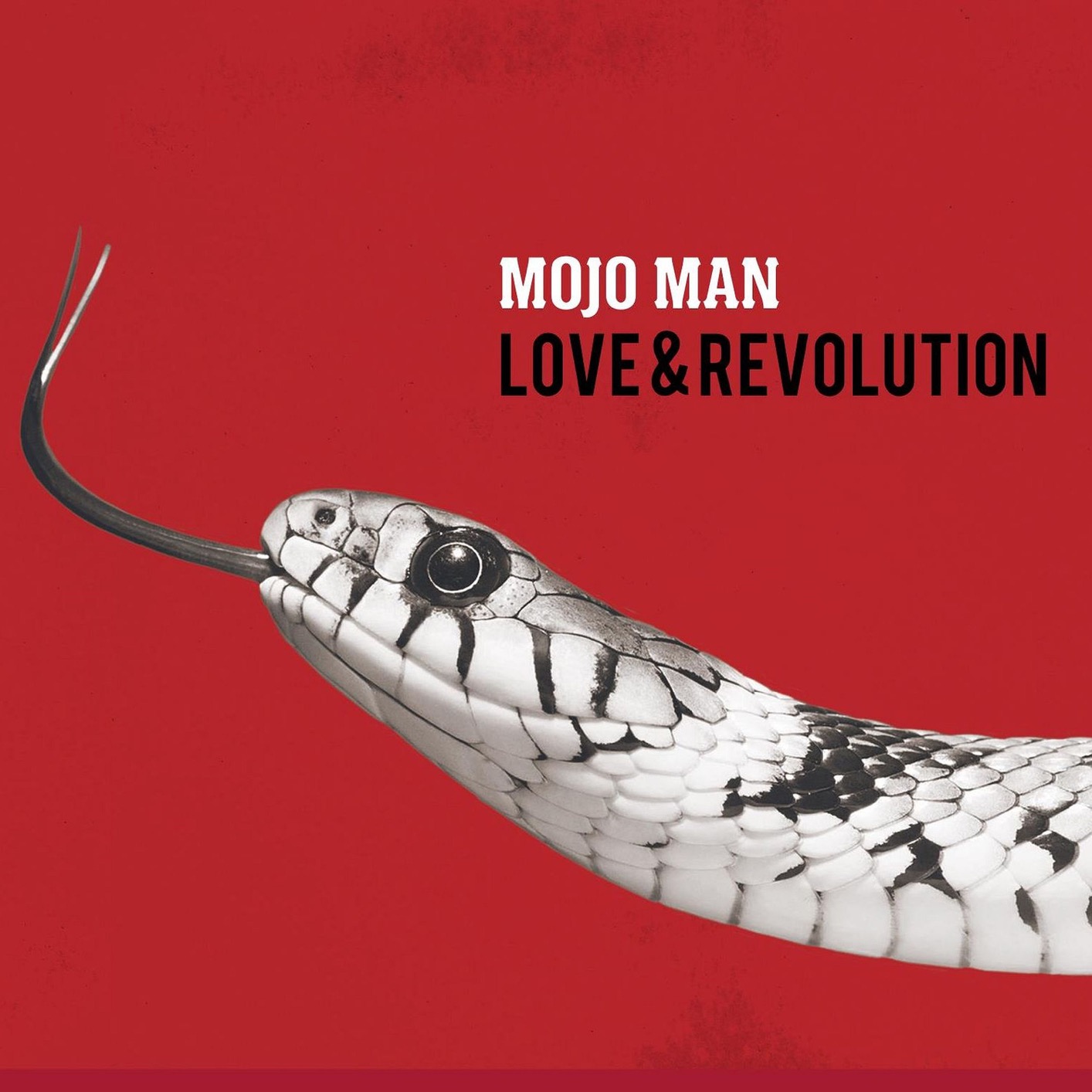 Cover Love & Revolution