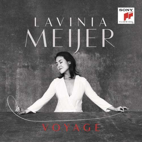 Cover Voyage