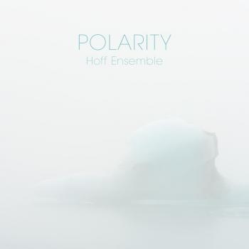 Cover POLARITY - an acoustic jazz project