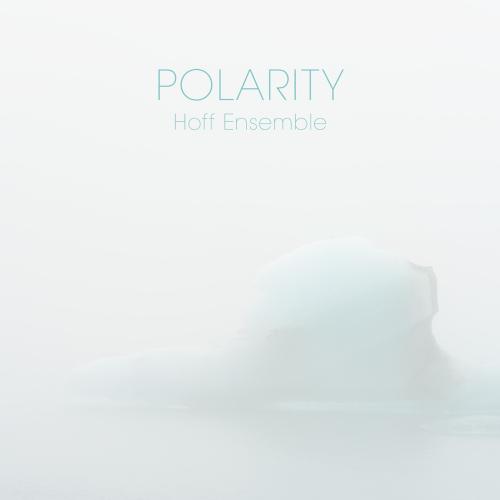 Cover POLARITY - an acoustic jazz project