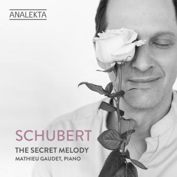 Cover Schubert: The Secret Melody