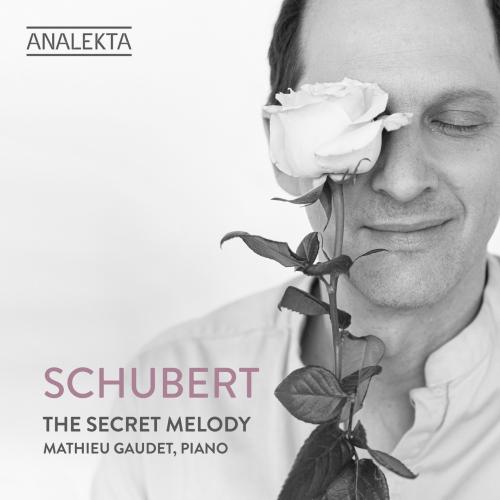 Cover Schubert: The Secret Melody