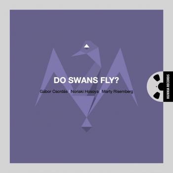 Cover Do Swans Fly?