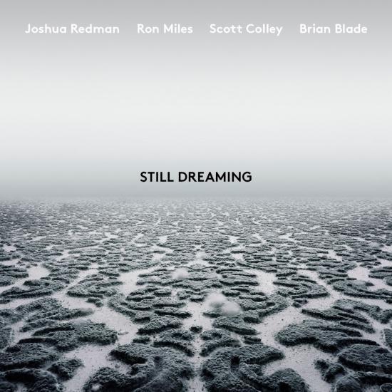 Cover Still Dreaming (feat. Ron Miles, Scott Colley & Brian Blade)