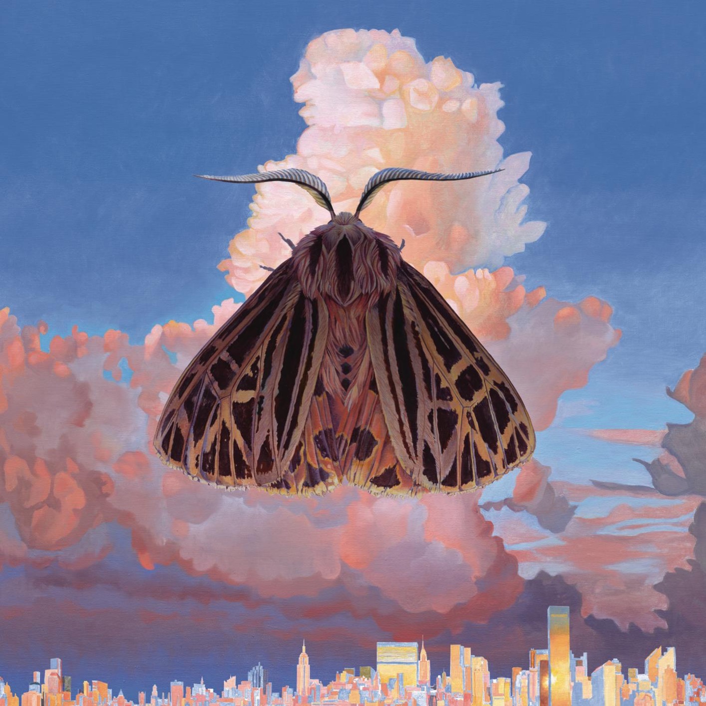 Cover Moth