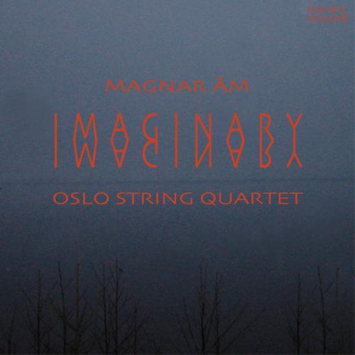 Cover Magnar Åm: Imaginary (Between Weight and Weightlessness)
