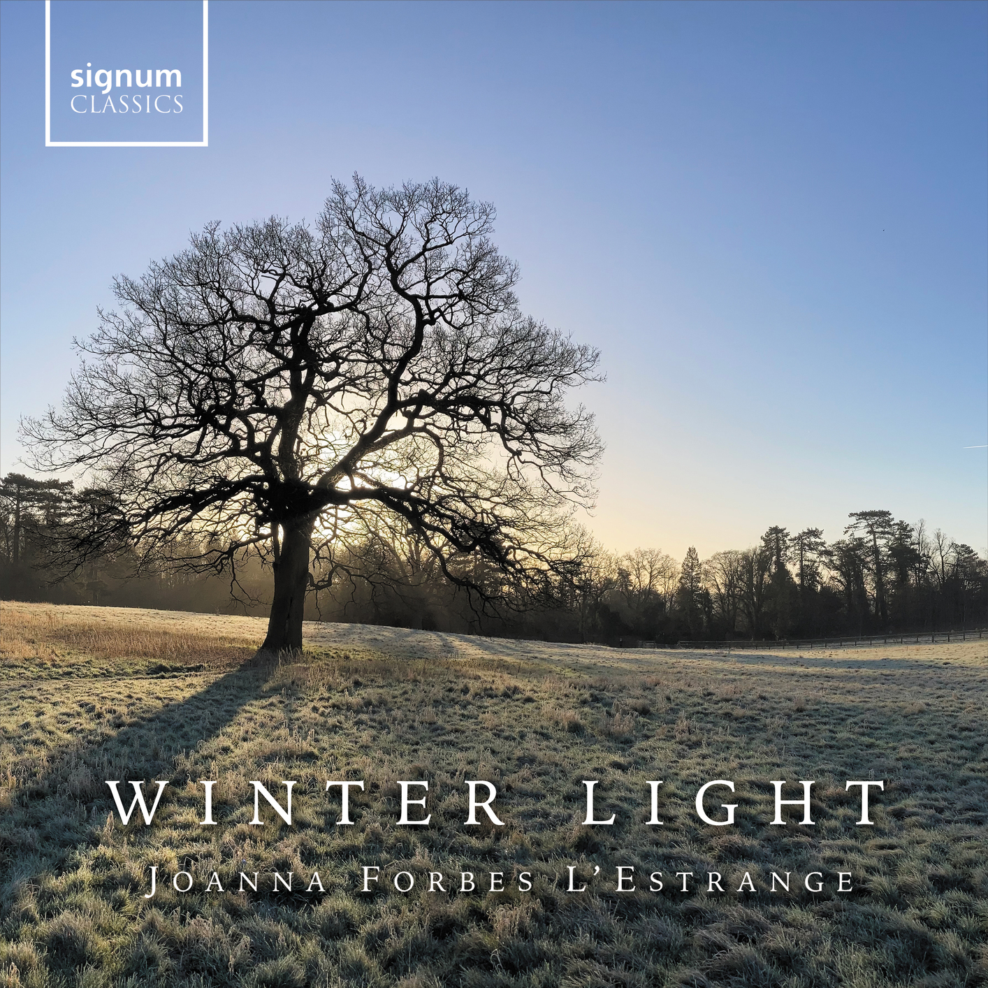 Cover Winter Light