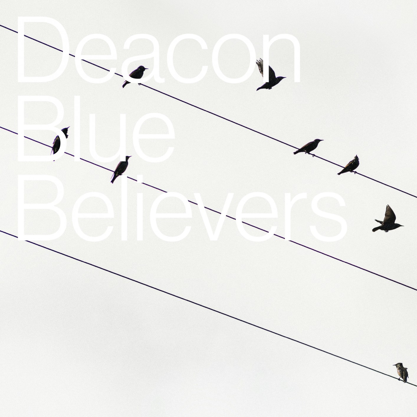 Cover Believers