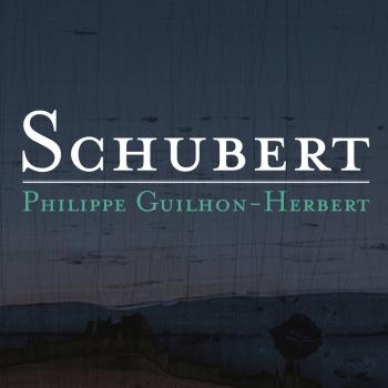 Cover Schubert: Piano Sonatas D. 784 958