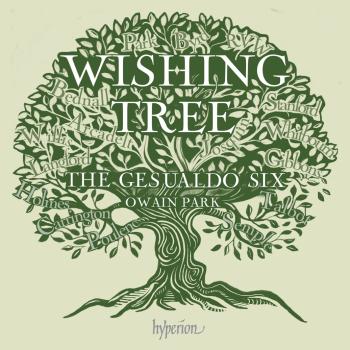 Cover Wishing Tree