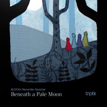 Cover Beneath a Pale Moon