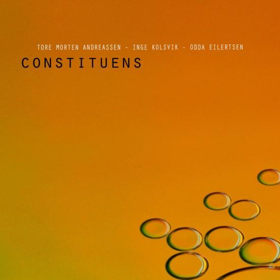 Cover Constituens