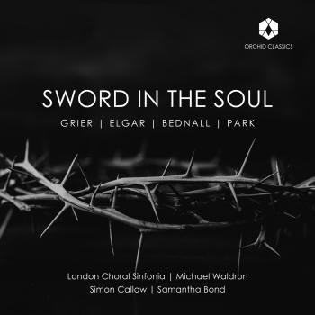 Cover Sword in the Soul