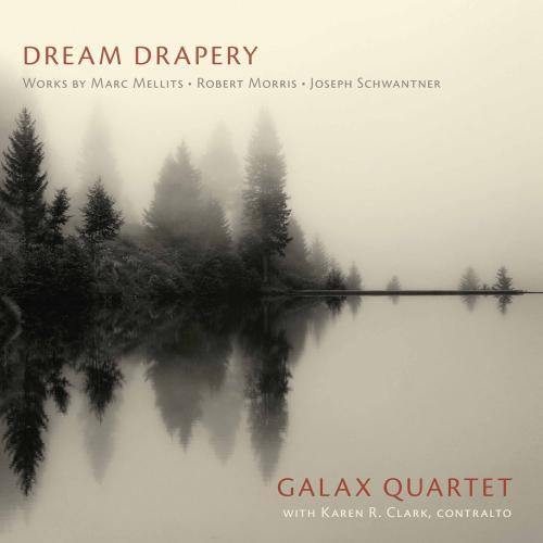 Cover Dream Drapery